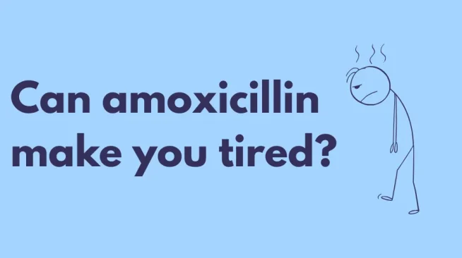 Can you drink on amoxicillin?