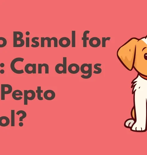 can you take pepto bismol with semaglutide Pepto Bismol for dogs: Can dogs take Pepto Bismol?