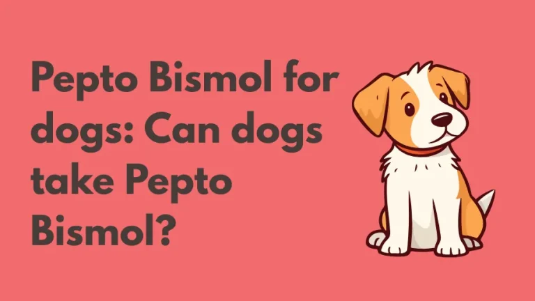 semaglutide and pepto bismol sour stomach semaglutide Pepto-Bismol Max Strength Liquid, Multi-symptom Digestive Relief upset stomach Semaglutide burping: why it happens
