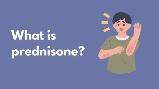 can you take prednisone with glp 1 What is prednisone?